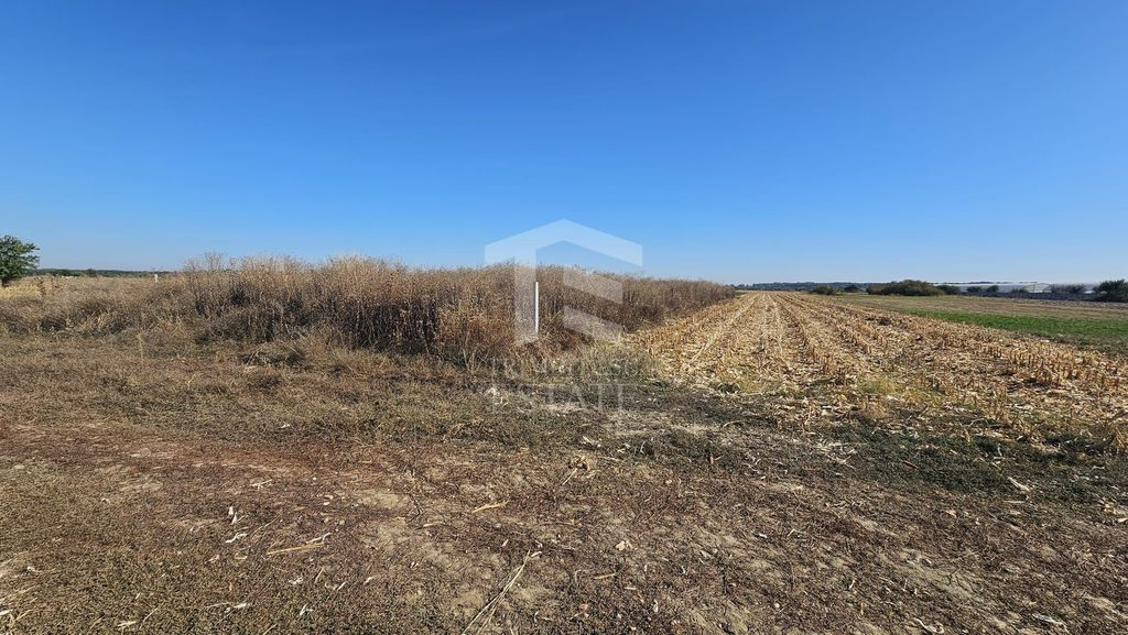 Copăceni - Ilfov - Teren intravilan arabil de vânzare - 1.148 mp