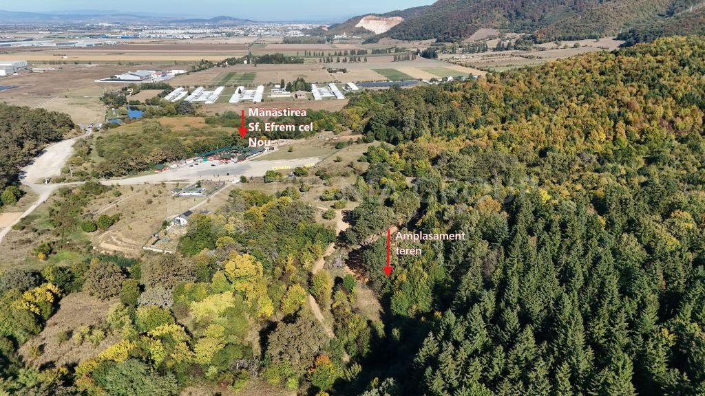 Aproape de Brașov, departe de agitație - Teren cu pădure în Cristian