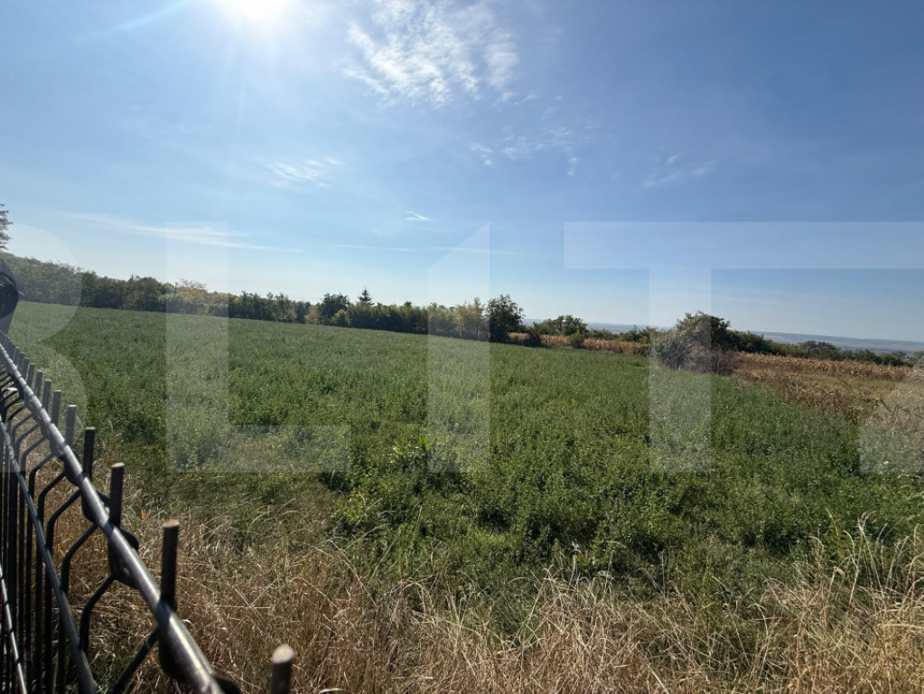 Teren intravilan, 3600 mp, zona Calinesti - Bucecea