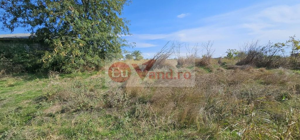 Teren intravilan 1.666 mp – Smârdan – Zonă în dezvoltare, 20 euro/mp