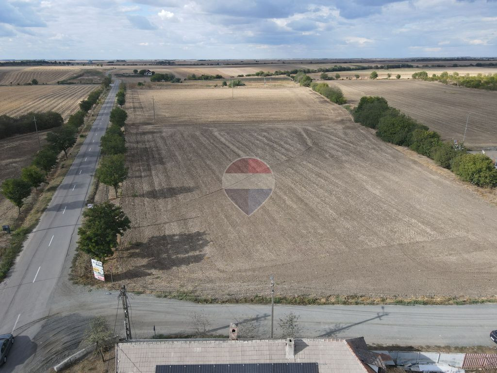 Teren 60,000mp Pecica / Strada 240