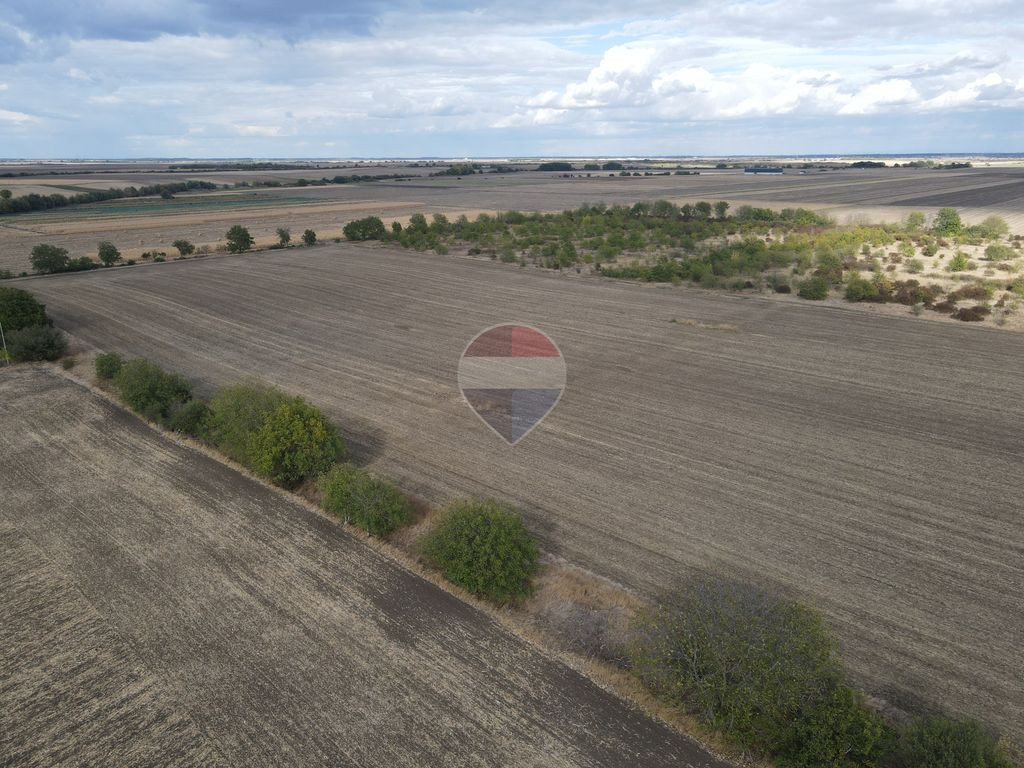 Teren 14,400mp Pecica / Strada 240