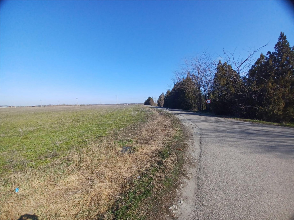 Teren Intravilan Calarasi- Cuza Voda Stradal DN3