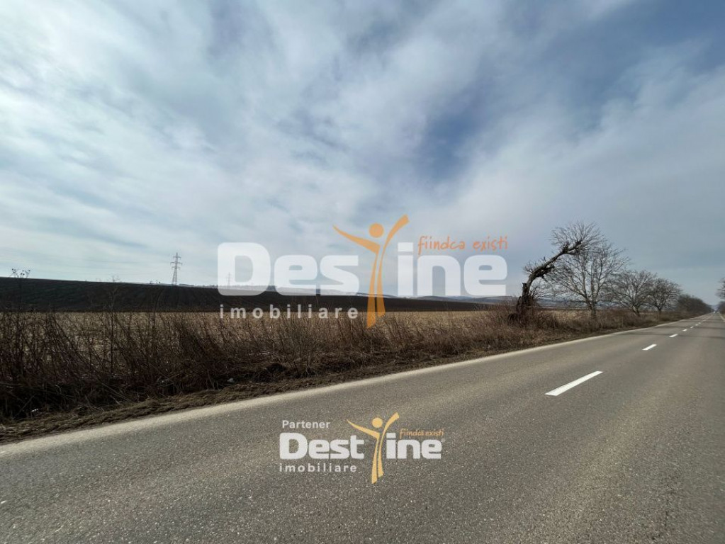 Teren de vanzare Caciulesti 11.000Euro 1300mp