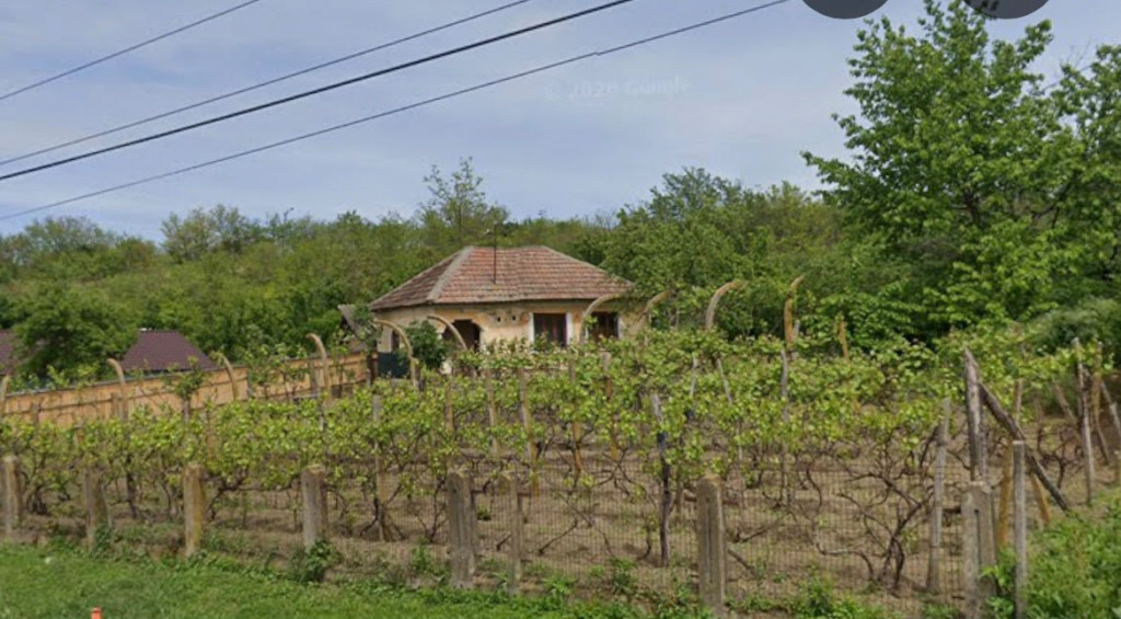 Casa parter 800 mp teren, front 30 ml, strada principala Toc