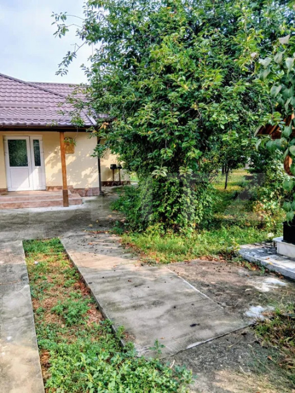 2 CASE + 6.000 MP TEREN + PĂDURE | Bilciurești, Dâmboviț