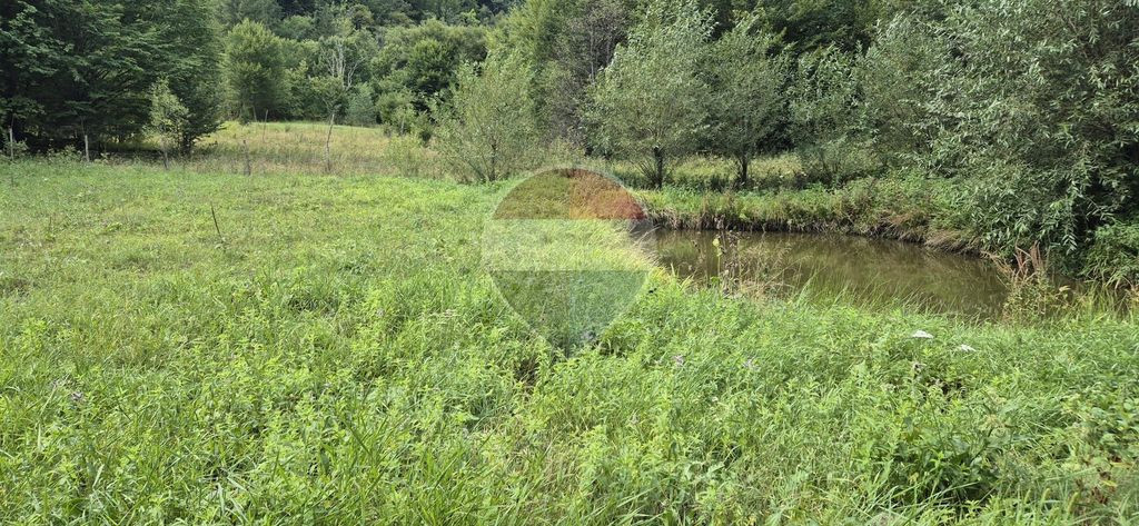 Teren de vis de 2.800 mp pe Valea Tărcăului – Cu lac natural și pădure