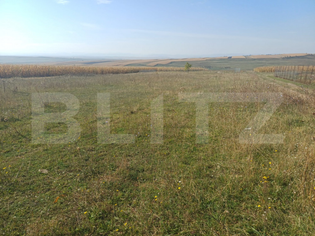 Teren de vanzare, 800 mp, zona Sud-Vest