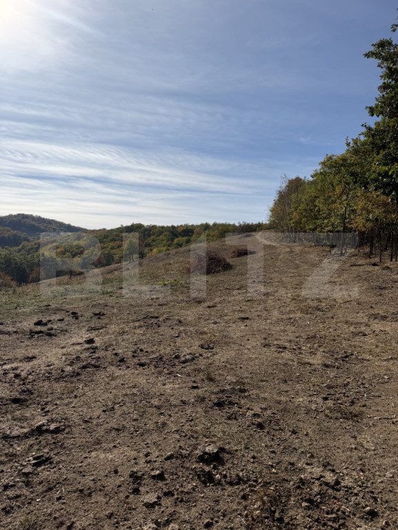Teren extravilan, 30.055 mp, zona Est