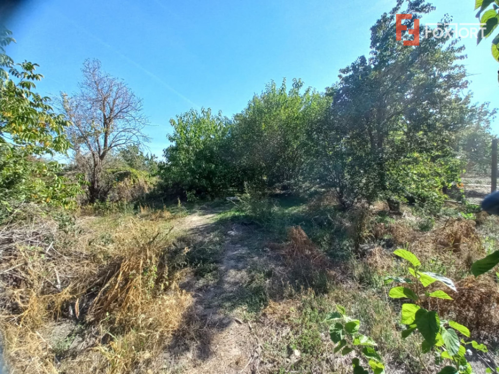 Pensiune de vanzare 16 camere, 600 mp - zona Mehala - Potent