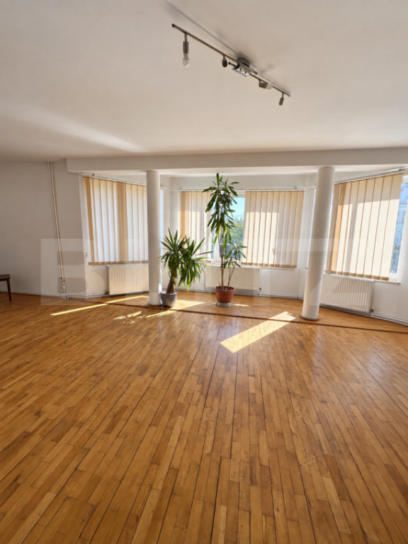 Casa de vanzare, 380 mp, zona Viișoara