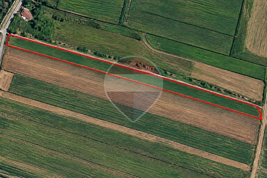 Teren 14.000 Strada Campurilor