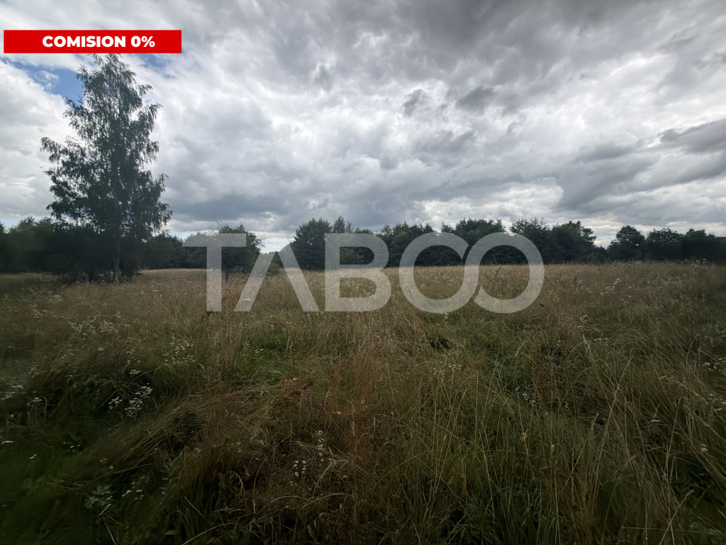 Teren extravilan cu utilitat 6000 mp langa Rau pe Valea Deja