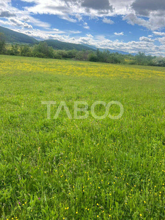 OPORTUNITATE INVESTITIE Teren extravilan 3600 mp Poplaca