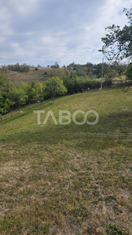 Teren de vanzare 8.300 mp Plesi Loman judetul Alba