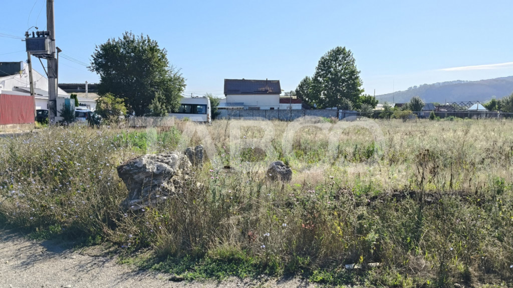 Teren intravilan de vanzare in Sebes zona industriala