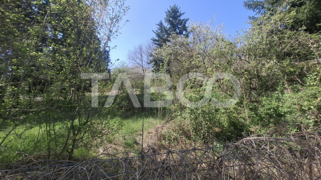 Teren intravilan de vanzare 2700 mp Slimnic Oportunitate inv