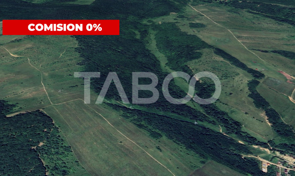 Padure de vanzare 127.000mp langa Mag in judetul Sibiu