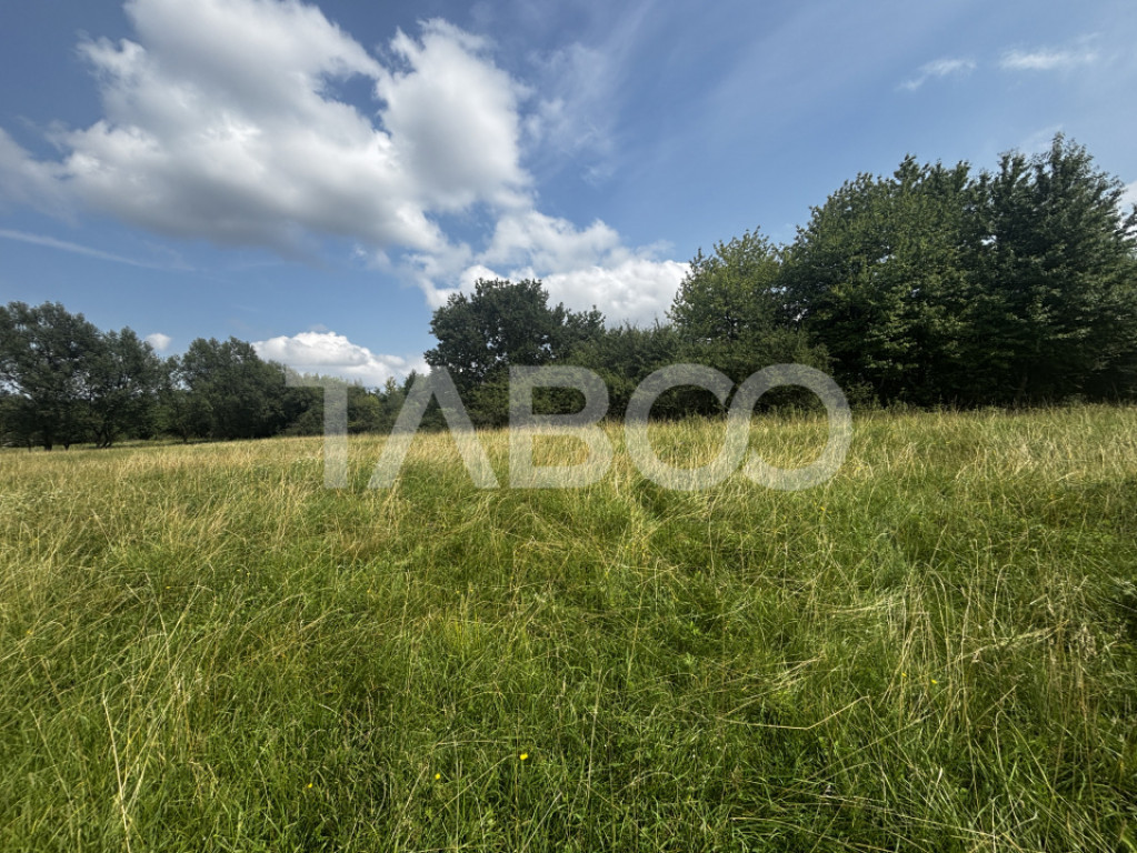Teren intravilan 3100mp parcelat in 1000mp si 2100mp Cisnadi
