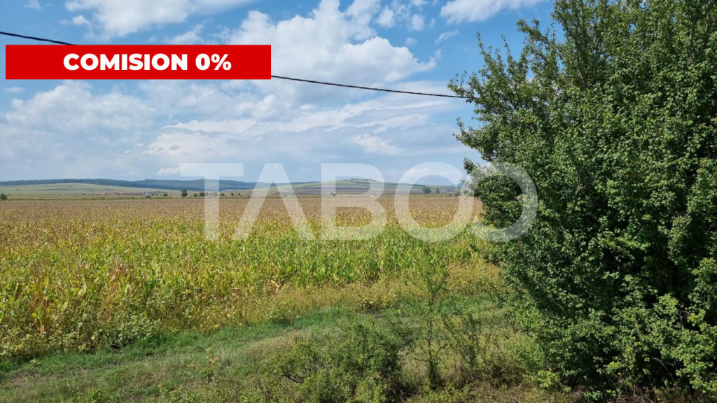 Oportunitate investitie Comision 0% 28000 mp in Sura Mica
