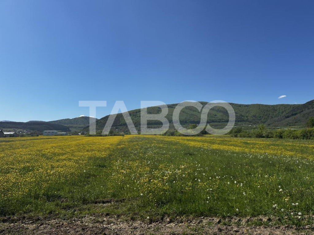 Teren de vanzare suprafata de 3000 mp in zona industriala Po