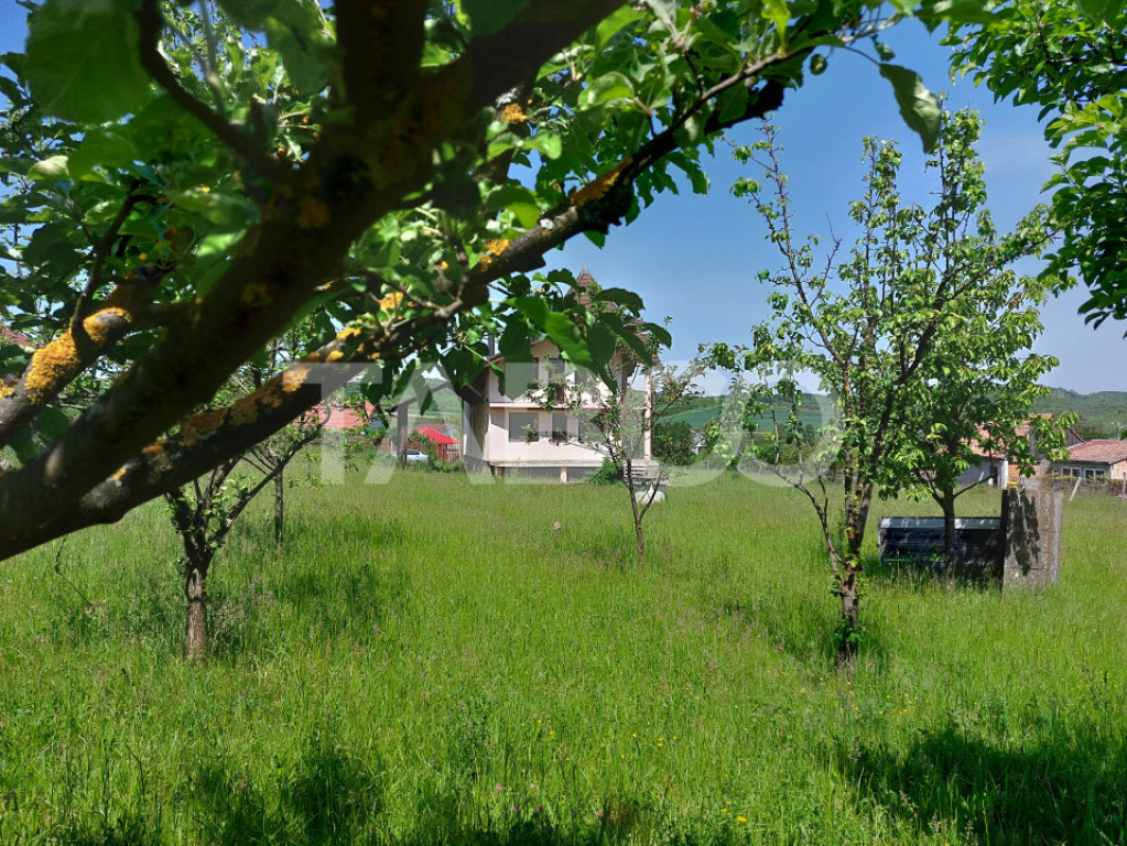 Casa de vanzare cu teren 2000 mp 5 camere Sura Mare Hamba S