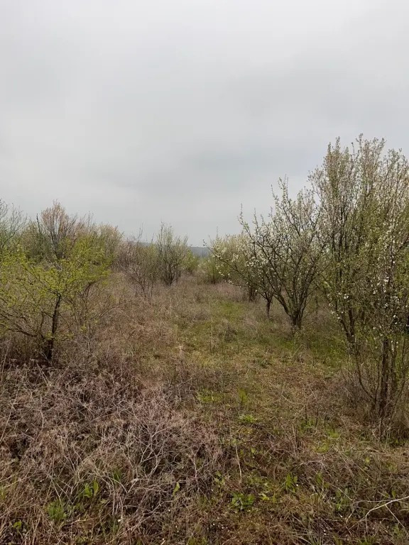 Vând Teren comuna Pischia sat Bececu de jos