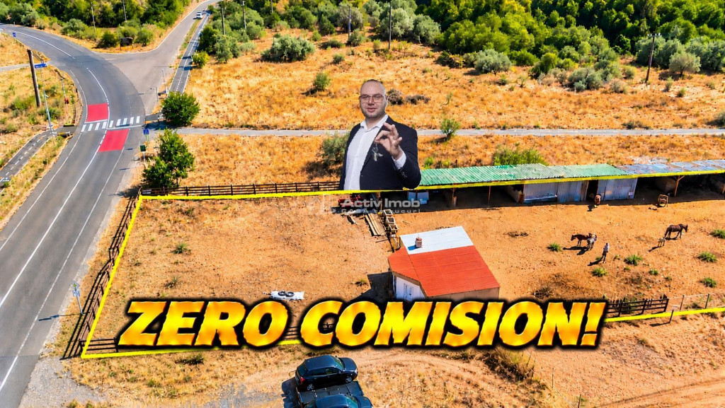 Moldova Noua | Teren 3.300 MP Afacere | ZERO COMISION