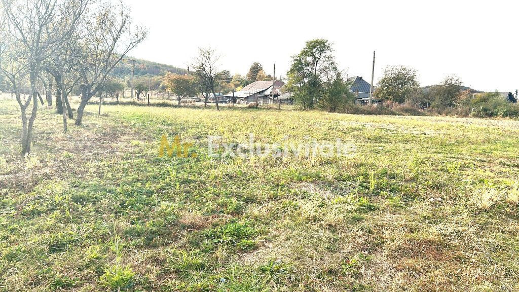 Teren intravilan de vanzare in Baiculesti-520mp