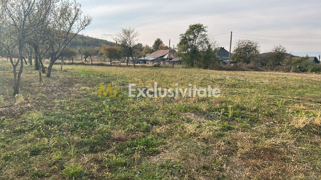 Teren intravilan – 1.135 mp, sat Crampotani, com. Merisani