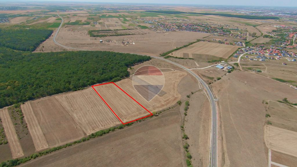 Teren intravilan 10.455 mp, în Cihei– Sânmartin, deschidere la pădure