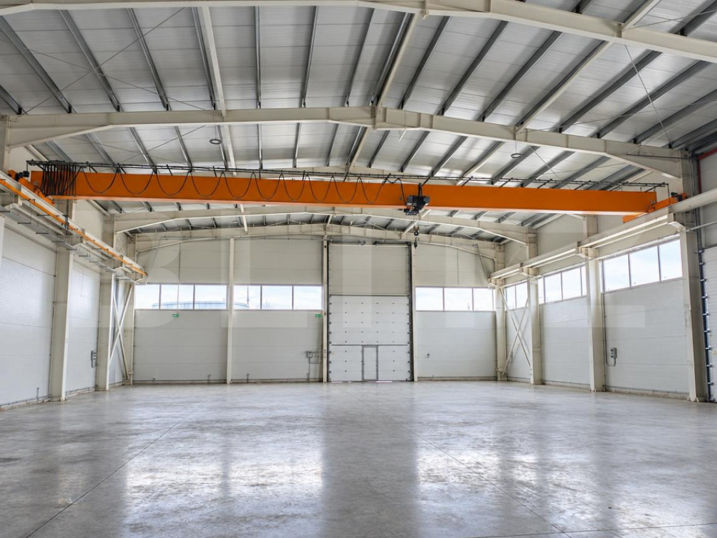 Hală industrială, 1.000 mp, zona Sacalaz