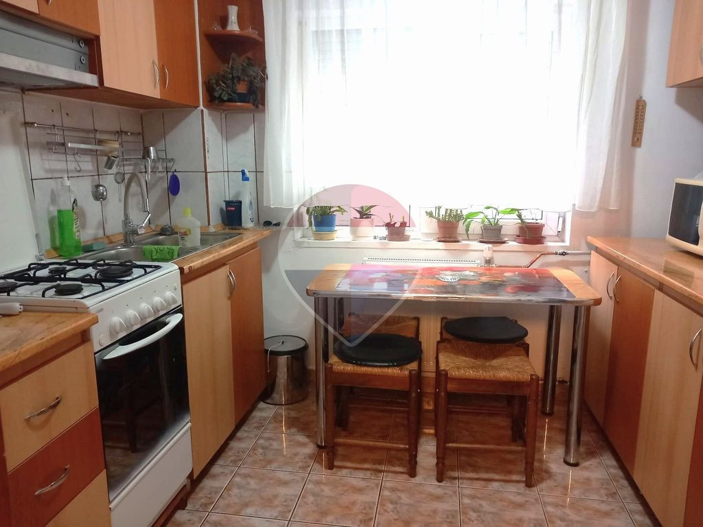 De închiriat apartament 4 camere, pet-friendly - Nufărul