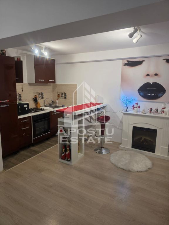 Apartament cu 1 cameră , renovat, Zona Semicentrală,Timișoara