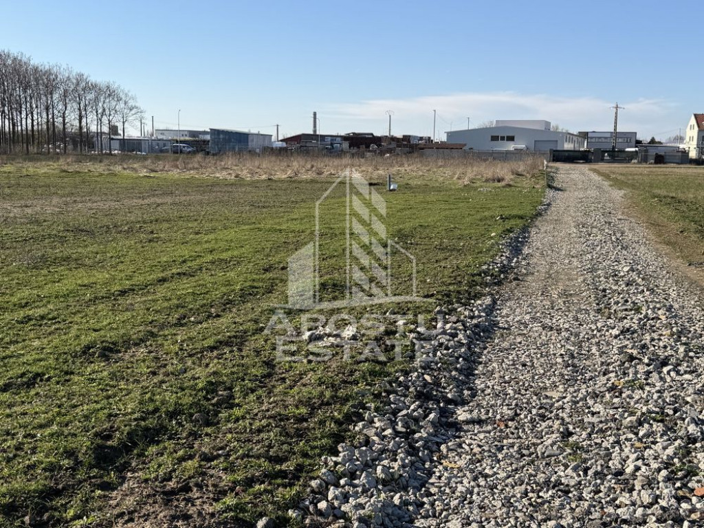 Teren pentru hala industriala, 1431 mp, Sagului- Ovidiu Cotrus