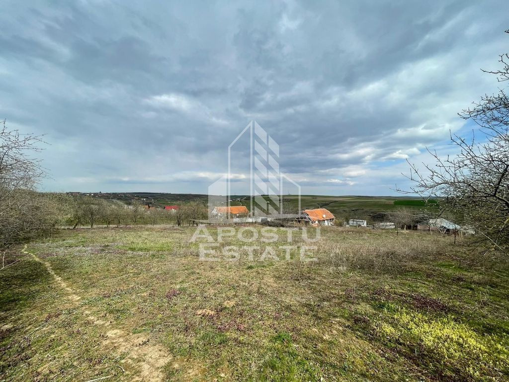Teren intravilan pentru investitie, 2896 mp, Herneacova Timis