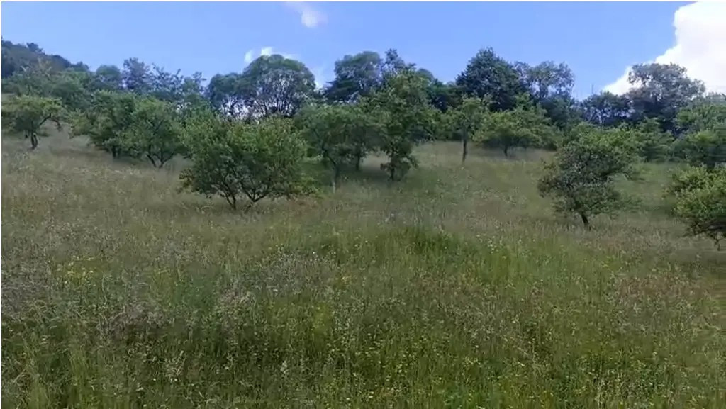 Teren de vanzare in zona de munte 13000mp