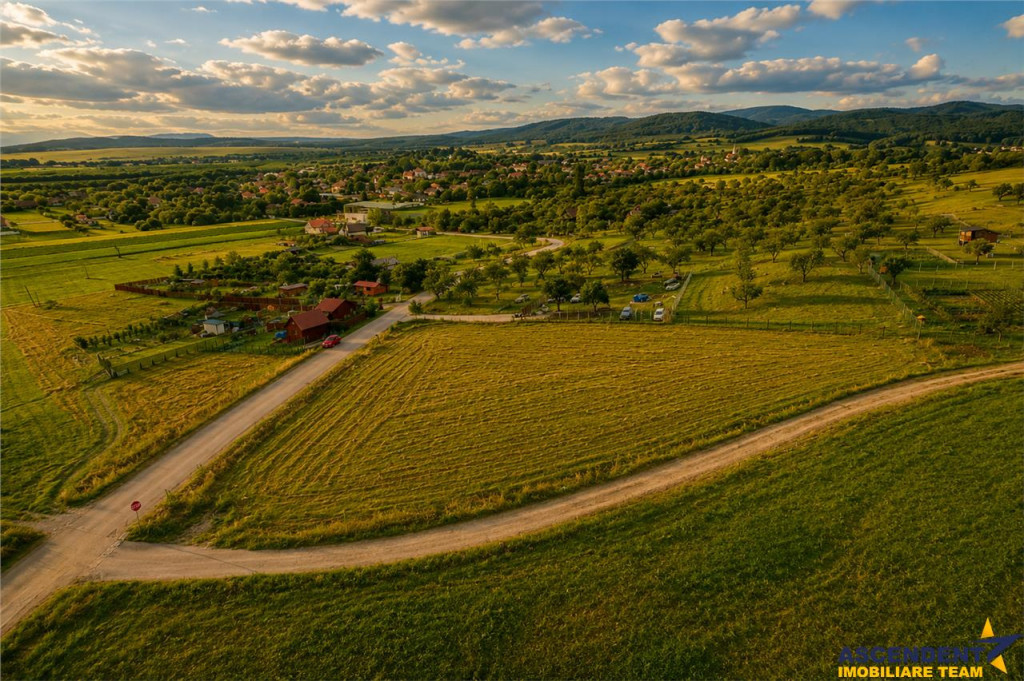 3.800mp recomandat: investitie,rezidenta vacanta,domeniu pri