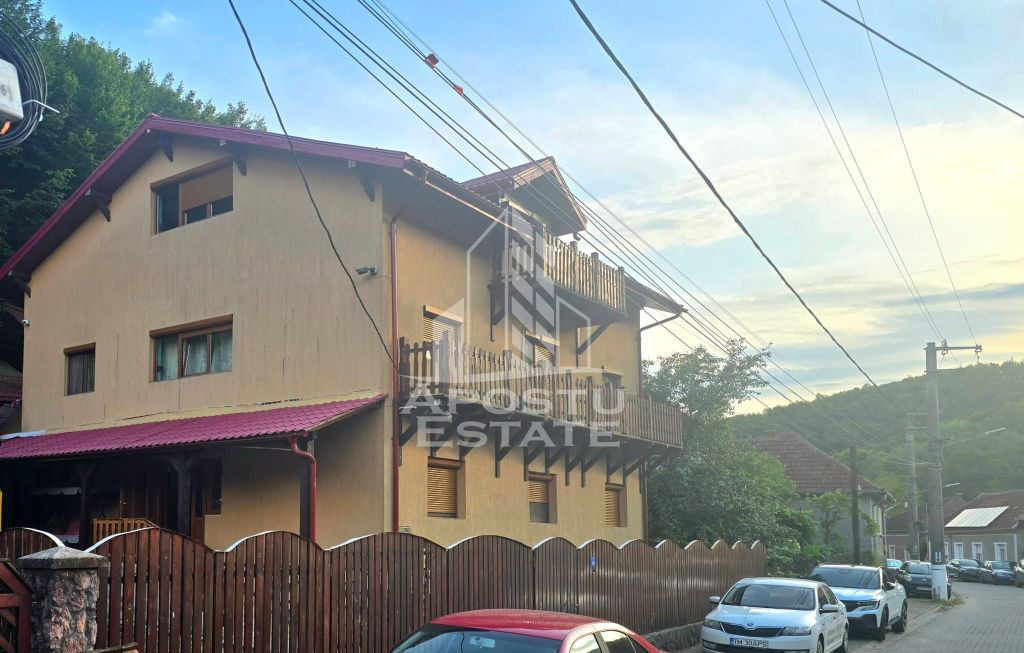 Prnsiunr in Moneasa 8 camere