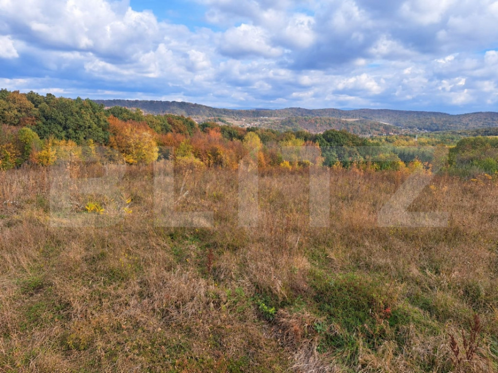 Teren intravilan, 5700 mp, zona Vațman