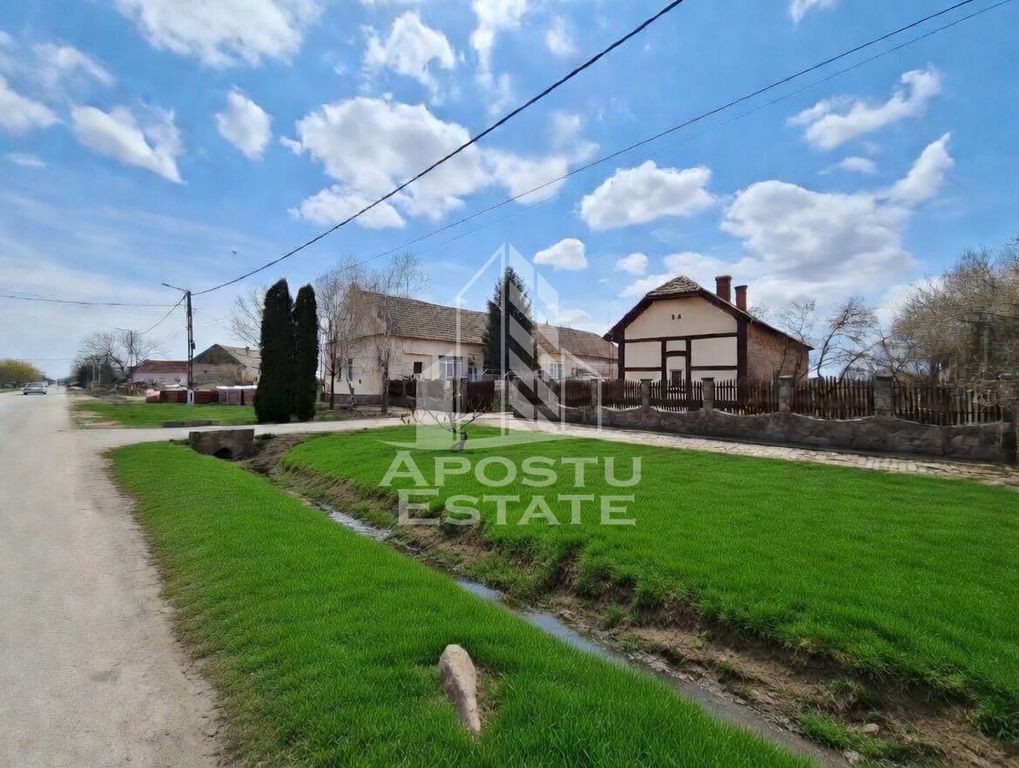 Casă spațioasă cu 2 locuințe și teren generos de 5.755 mp în Șandra