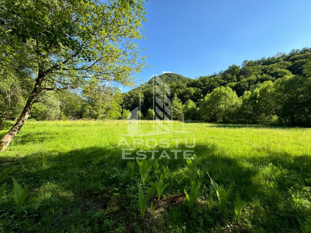 Teren de vanzare pe marginea raului, 1300mp, in Gros, Hunedoara