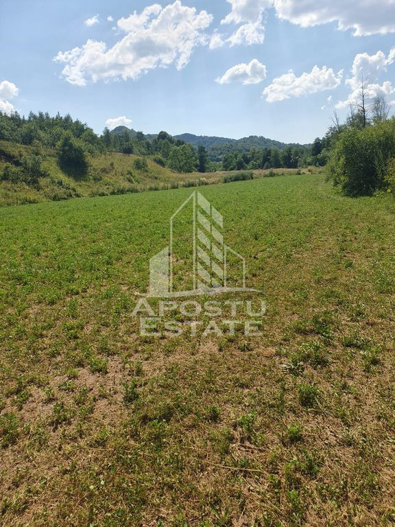Teren intravilan de 2848mp, Tinutul Padurenilor, sat Negoiu, Hunedoara