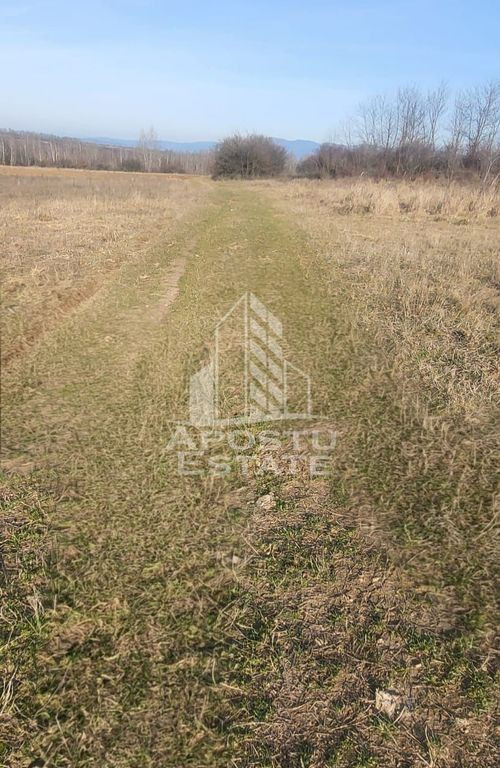 TEREN AGRICOL 1,524 HA, LA DOAR 10.000€ Comision Zero %