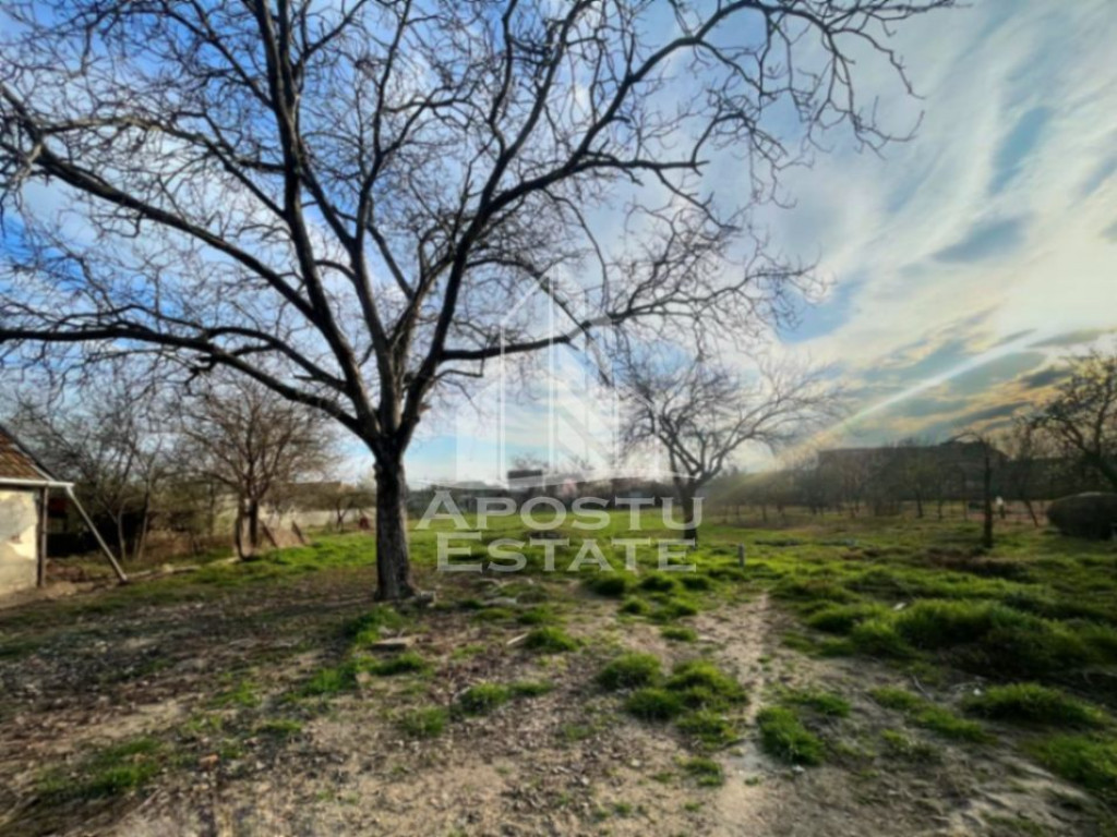 Teren intravilan, zona Sannicolau Mic