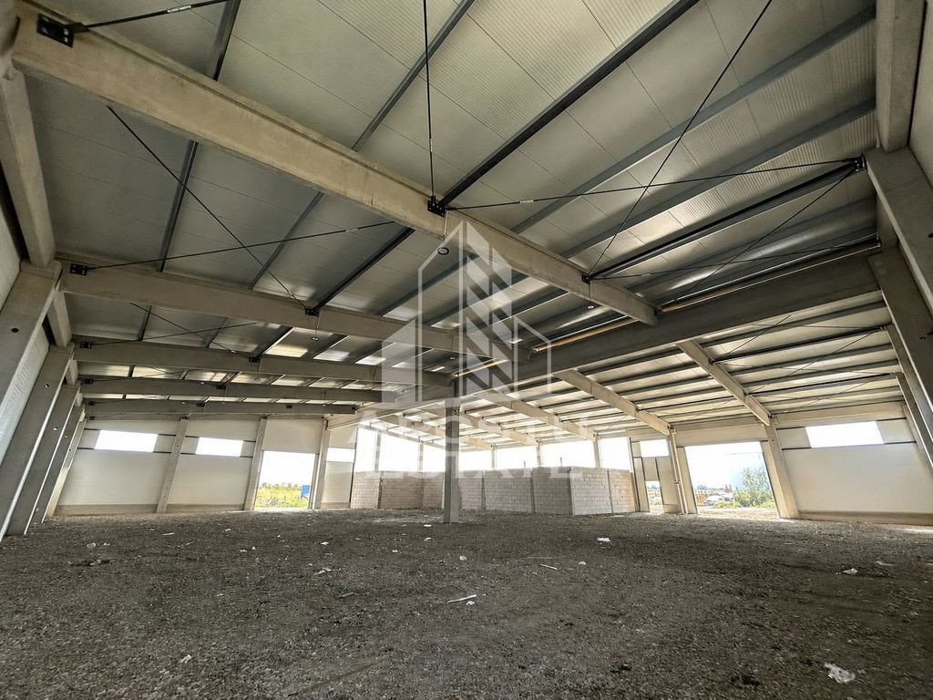 Hala noua de inchiriat 1373 mp cu birouri, zona Lugojului- Jumbo.