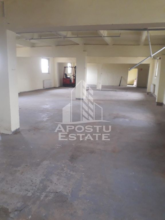 De vanzare / inchiriere hala industriala in Mosnita Noua, jud. Timis