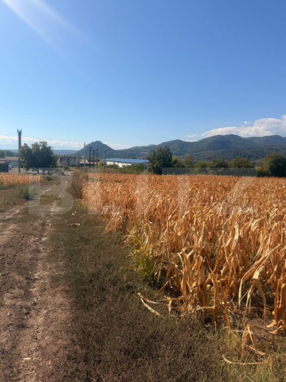 Teren intravilan, 2.900 mp, zona Soimus