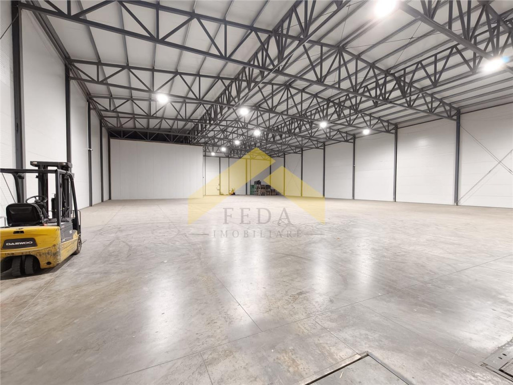Spațiu industrial de vânzare în Aradul Nou / Arad