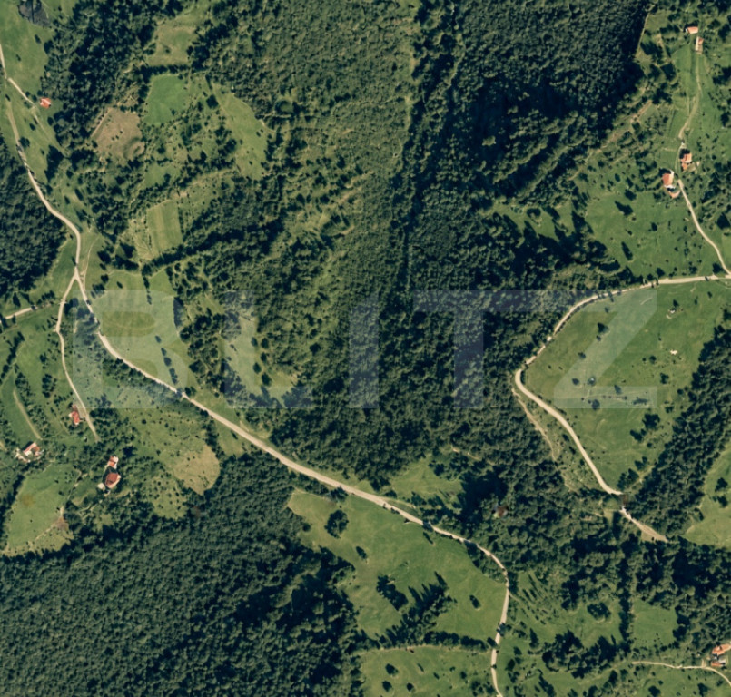 Pădure de foioase- 30.865 m² – teren de vânzare, Târsa